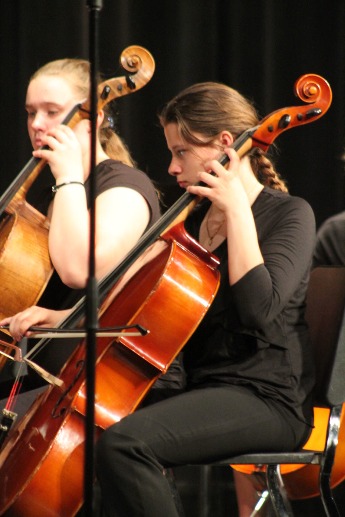 BD Orchestras spring concert 2019 012.JPG